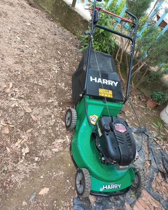 rasaerba HARRY 