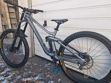 Scott Gambler 920, Large, del 2024