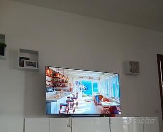 TV lg 55" oled