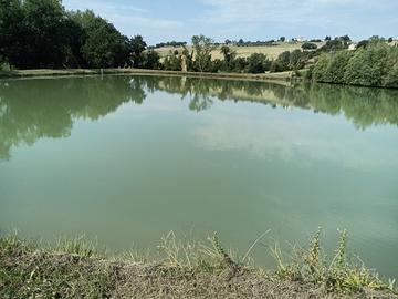 Una vita in campagna