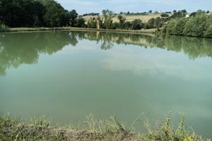 Una vita in campagna