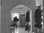 Immagine 14