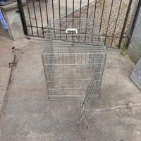 Kennel per cani di taglia media