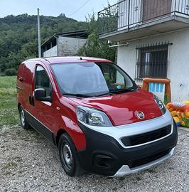 Fiorino 2017