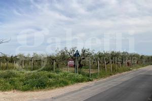 Terreno Residenziale San Severo