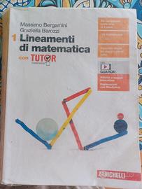Libro Lineamenti di matematica