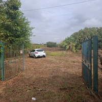 Terreno agricolo Lanuvio