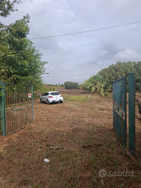 Terreno agricolo Lanuvio