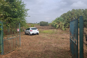 Terreno agricolo Lanuvio