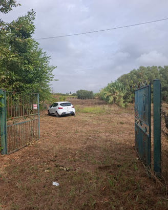 Terreno agricolo 2850mq-Lanuvio