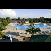 Bungalow campeggio Palme Marina di Bibbona