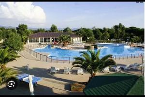 Bungalow campeggio Palme Marina di Bibbona