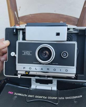 Polaroid 250
