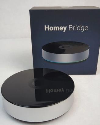Homey bridge