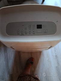 climatizzatore portatile 