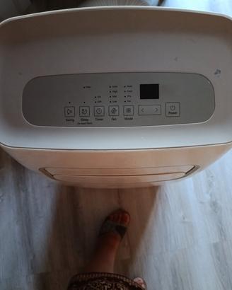 climatizzatore portatile 