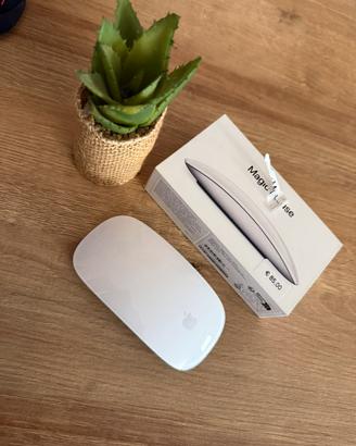 Apple magic mouse 2025