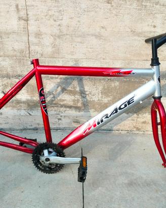 Telaio e cerchi bici 