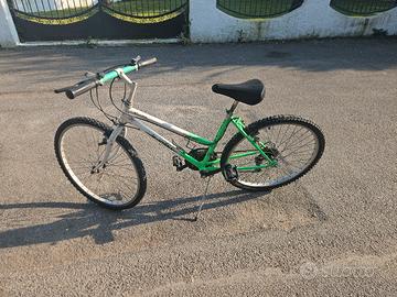 MTB 26 Montana Climber