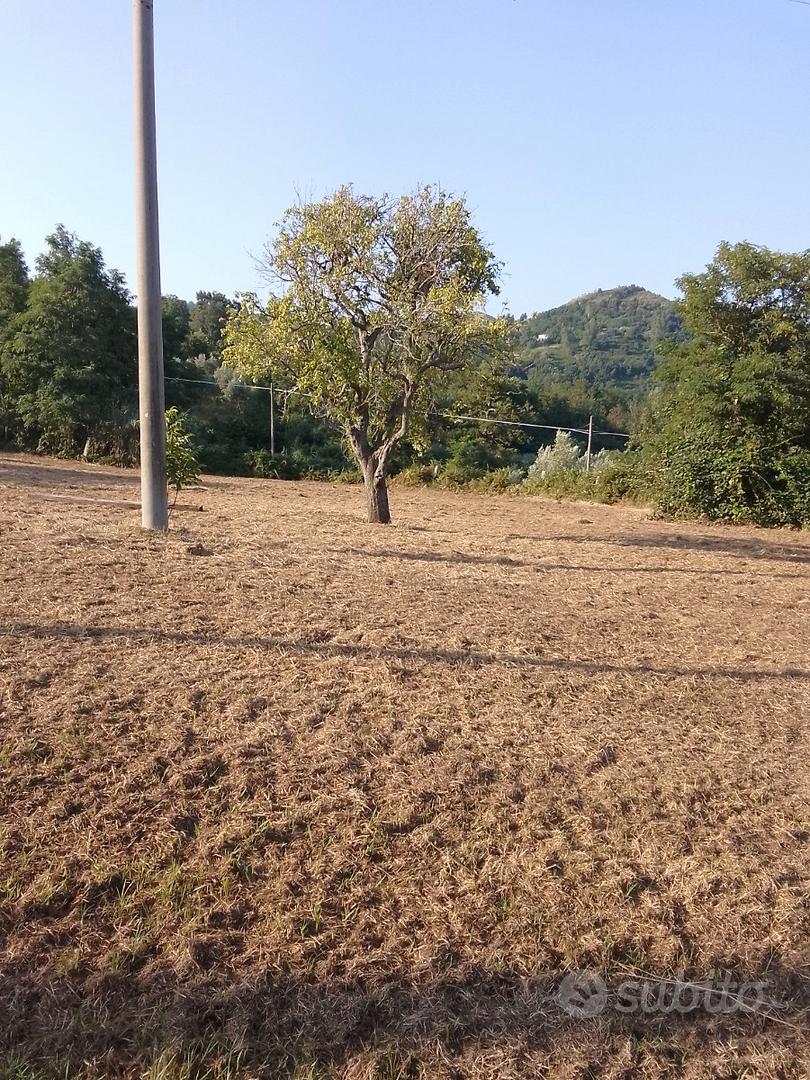 Terreno agricolo - Altro