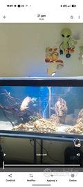 Acquario 500 litri