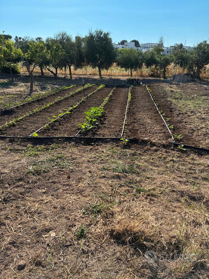 Terreno agricolo a 400 mt dal mare - Vista 2