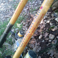 Canne da pesca linea effe