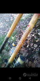 Canne da pesca linea effe