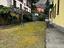 Immagine 13