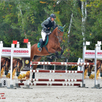 Cavalla italiana 8 anni