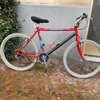 Bicicletta MTB Legnano Barracuda 26” 