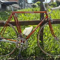 Wilier ramata