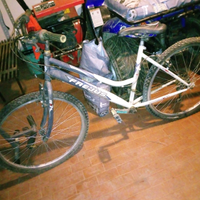 MTB fresjus 26