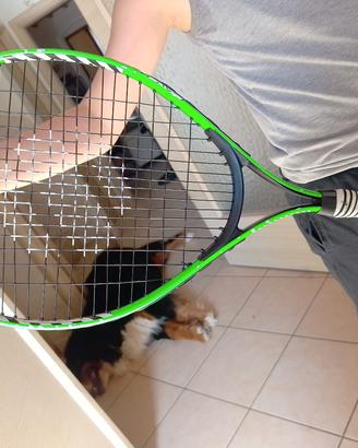 racchetta tennis