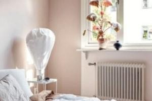 Bilocale ristrutturato 650