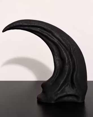 Artiglio di Velociraptor – Stampa 3D Replica 