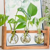 Vasi trasparenti decorativi con supporto in legno