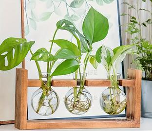 Vasi trasparenti decorativi con supporto in legno