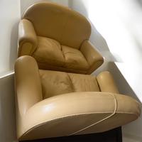 Coppia di divani Frau Vanity in pelle