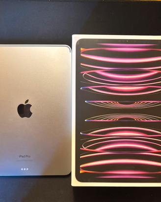 IPAD PRO M2 + Apple Pencil 2nd Gen