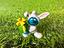 Immagine 1
