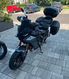 Tracer 9 GT +