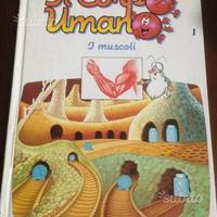 Esplorando il corpo umano i muscoli 1994
