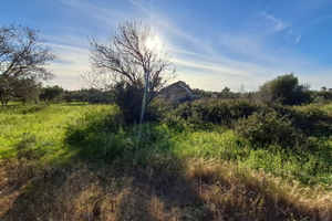 Terreno agricolo con fabbricato rurale diruto