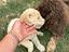 Immagine 5