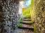 Immagine 14
