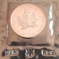 Moneta Argento 9999 Canada 5 Dollari 1989 FDC