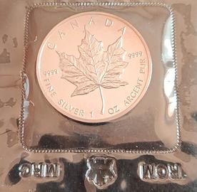 Moneta Argento 9999 Canada 5 Dollari 1989 FDC