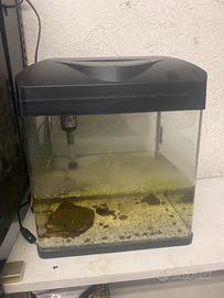 Acquario laguna luce led filtro