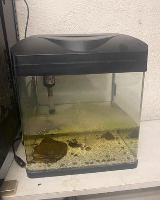 Acquario laguna luce led filtro
